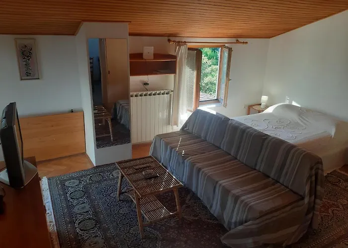 Stella * 오파티아